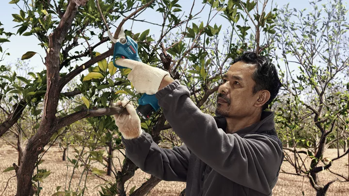 PRO PRUNER PROFESSIONAL CORDLESS SECATEUR - Image 3